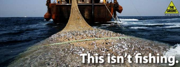 Say No to Super Trawlers - OceanAmp