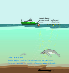 Oceancare Graphic Oil Exploration